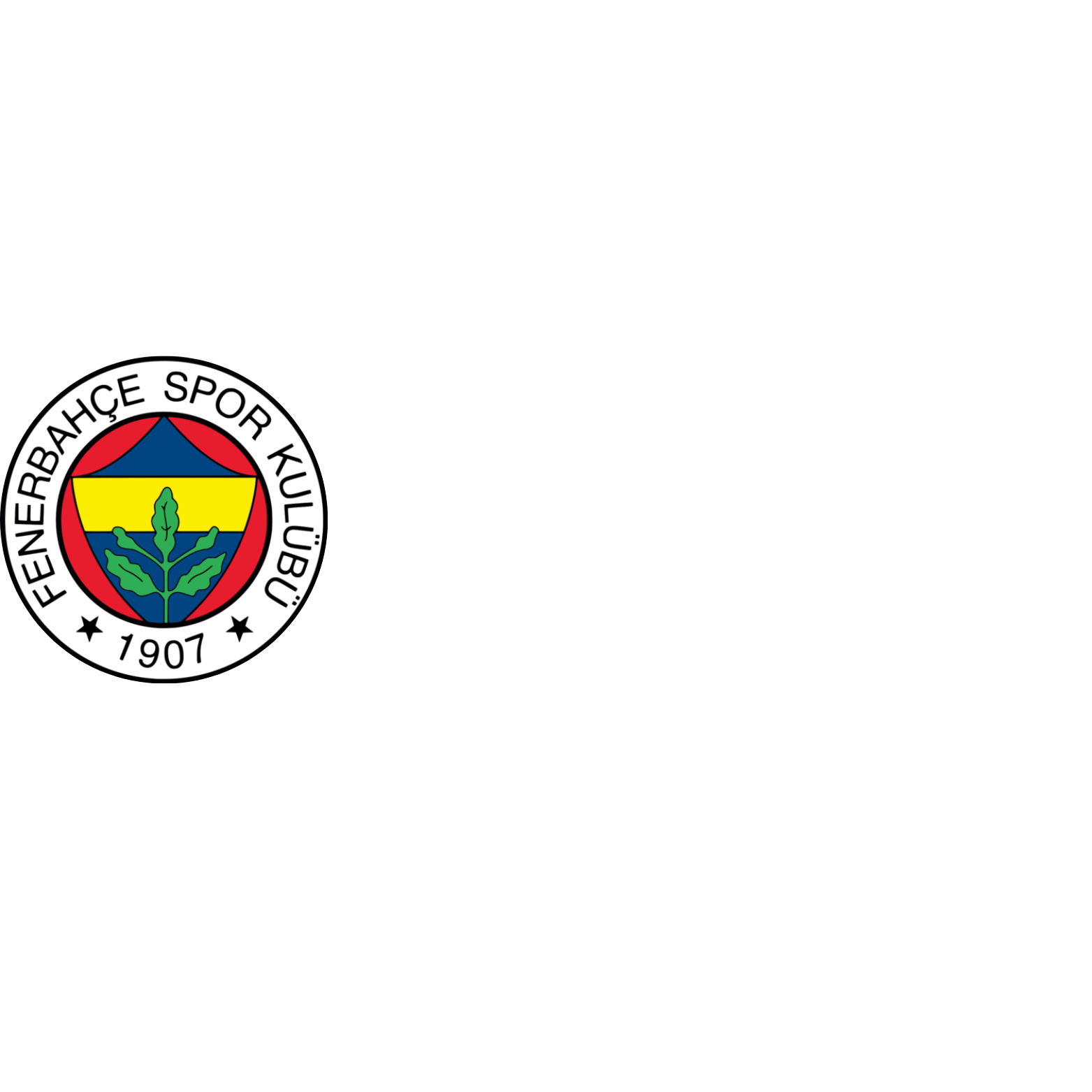 Fenerbahçe Cimnastik Okulu İstanbul Tuzla